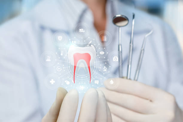 Best Traditional Braces  in Honsville, GA